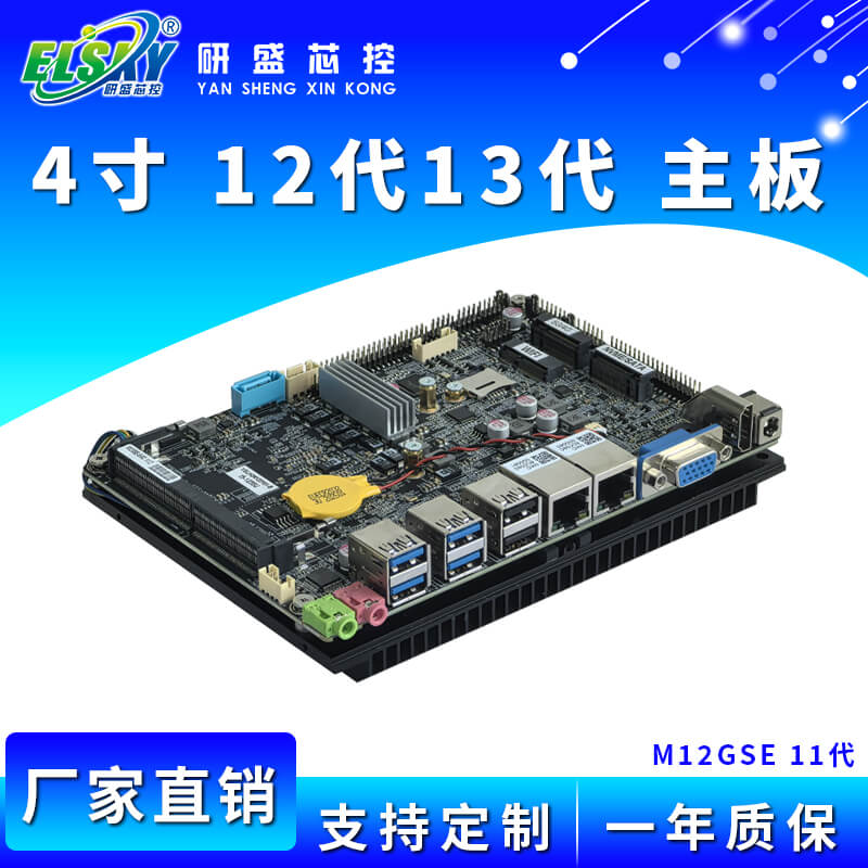 ELSKY/研盛 M12GSE 工控主板